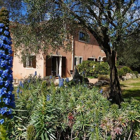 Chambre D'Hotes Domaine Pero Longo Bed & Breakfast Sartène Стая снимка